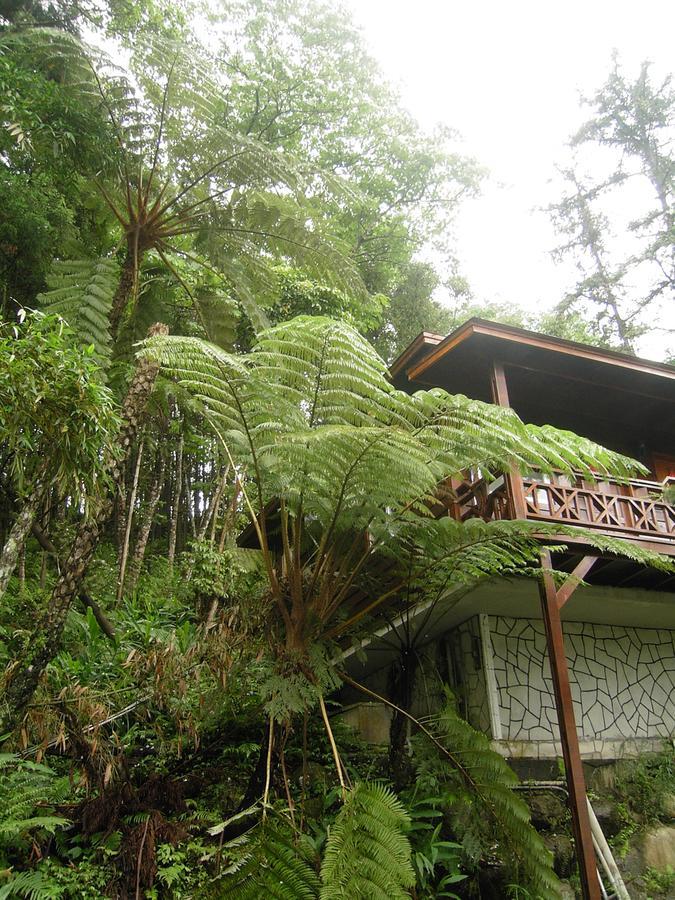 南庄乡福美青鸟山庄公寓 外观 照片